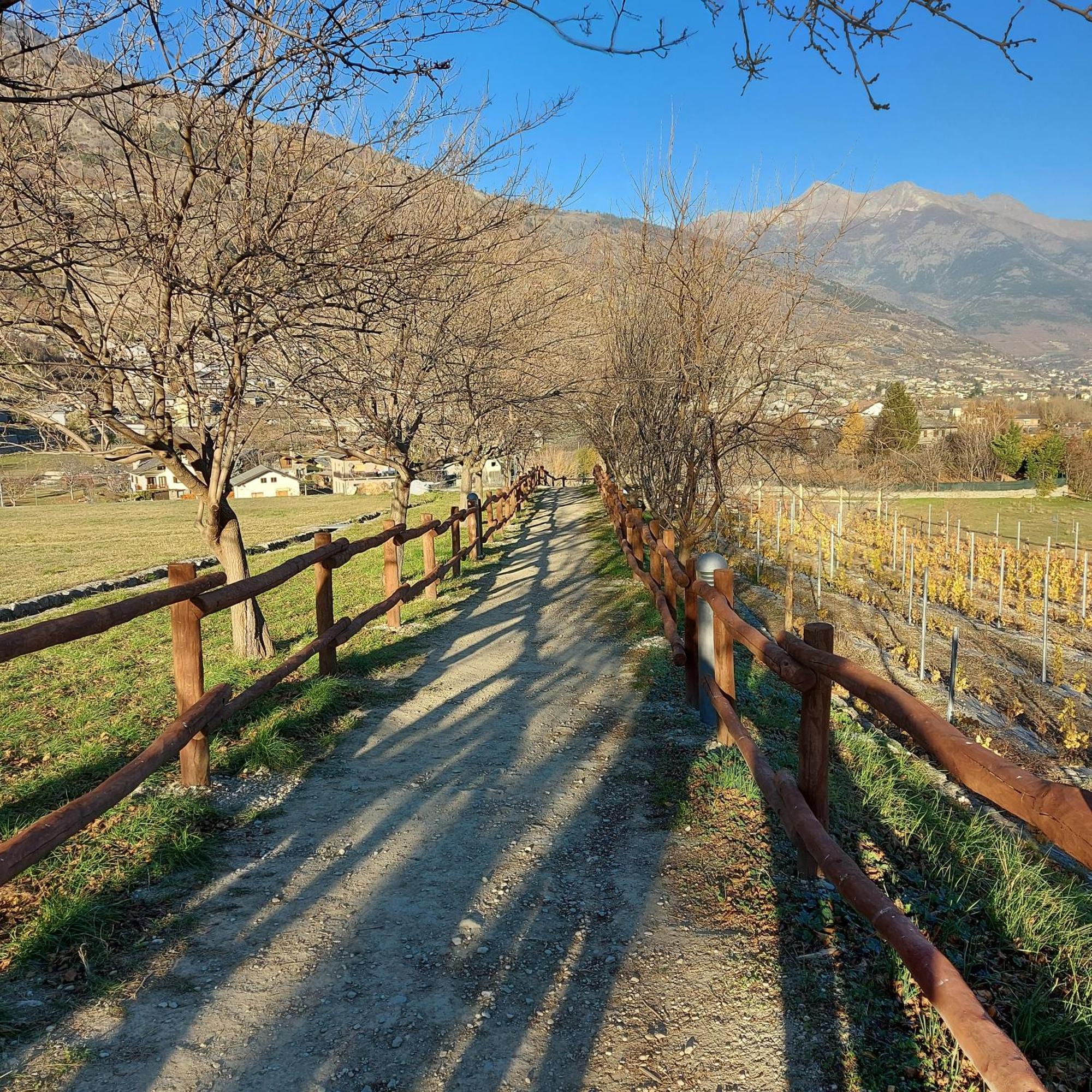La Taverna Alloggio Ad Uso Turistico - Vda -Sarre - Cir- 0073 Aosta Ngoại thất bức ảnh